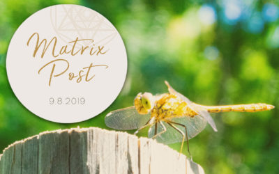 Matrix Post 9.8.