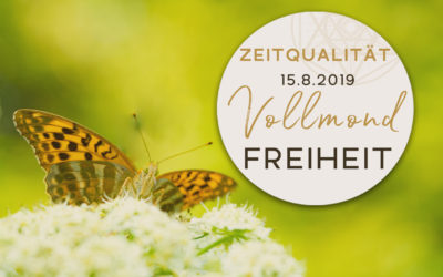 Zeitqualität mit Video 15.8.