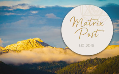 Matrix Post 1.12.