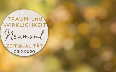 Zeitqualität mit Video 23.2.