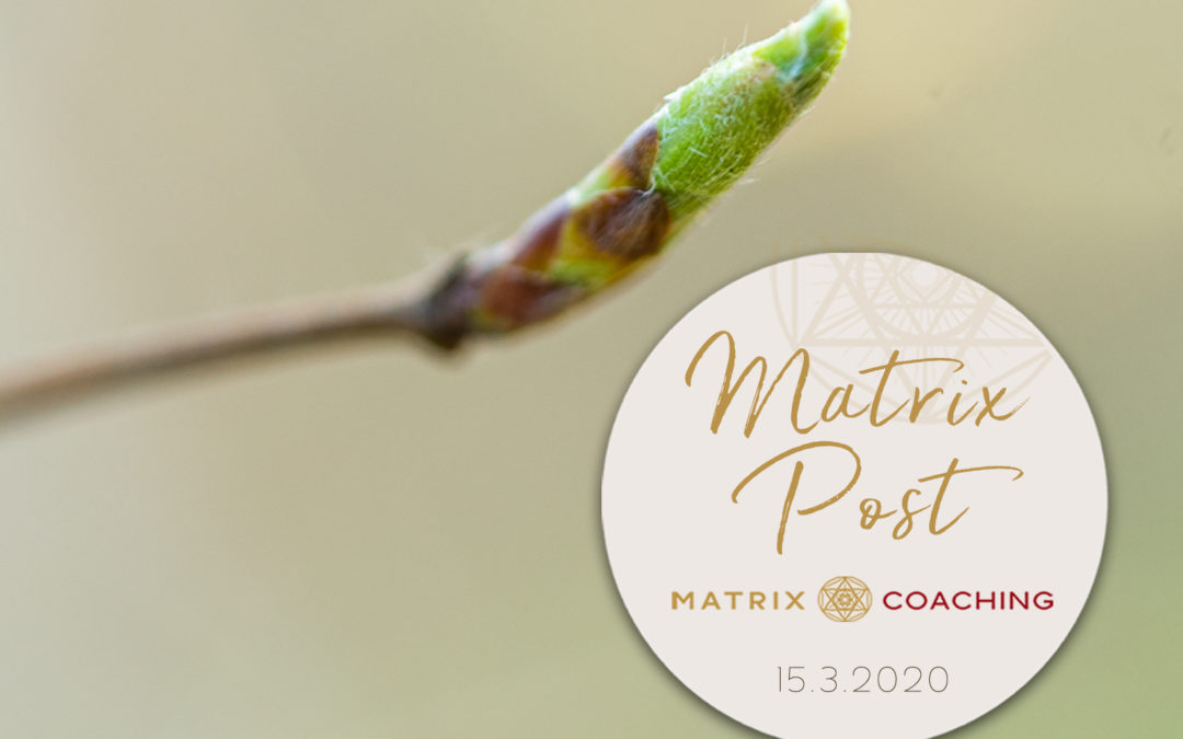 Matrix-Post 15.3.