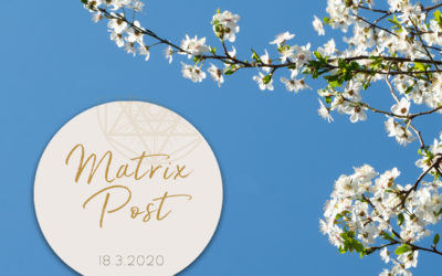 Matrix-Post 18.3.