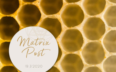 Matrix-Post 19.3.