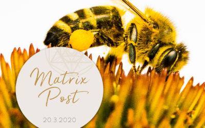 Matrix-Post 20.3. – Equinox