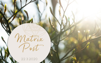 Matrix-Post 22.3.
