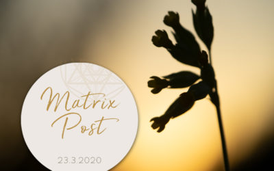 Matrix-Post 23.3.