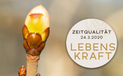 Zeitqualität mit Video 24.3.