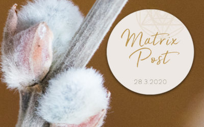 Matrix-Post 28.3.