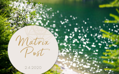 Matrix-Post 2.4.