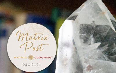 Matrix Post 24.4.