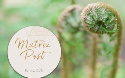 Matrix-Post 15.5.