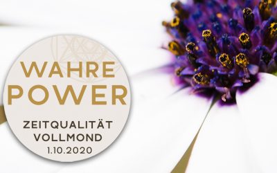 Zeitqualität zum 1.10.