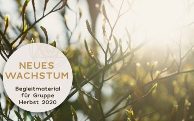 Geschützt: Gruppe Neues Wachstum – Herbst 2020