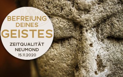 Zeitqualität zum 15.11.