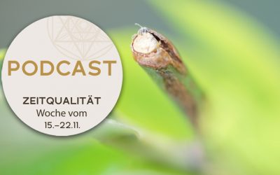 Podcast zur Zeitqualität
