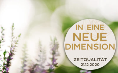 In eine neue Dimension (Exklusiv für Matrix-Gruppe)