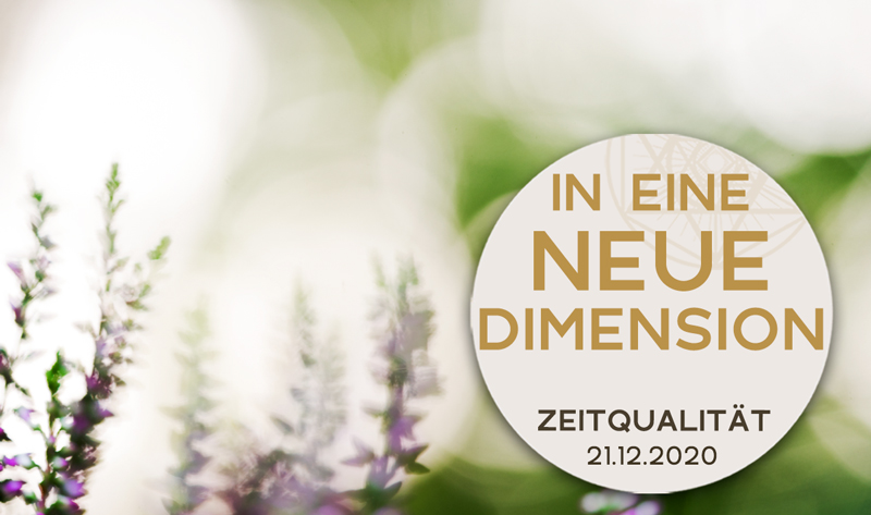 In eine neue Dimension (Exklusiv für Matrix-Gruppe)