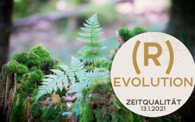 (R)Evolution (Exklusiv für die Matrix-Gruppe)