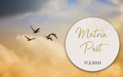 Matrix Post 17.2.