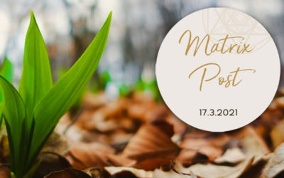 Matrix-Post 17.3.
