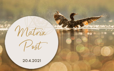 Matrix Post