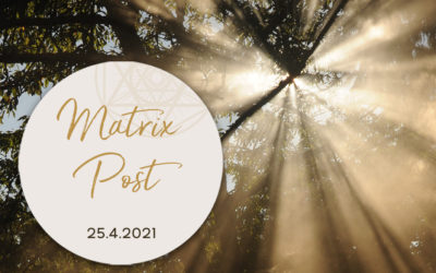 Matrix Post 25.4.