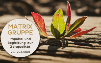 Impulse und Begleitung zur Zeitqualität vom 23.5.-29.5.2021