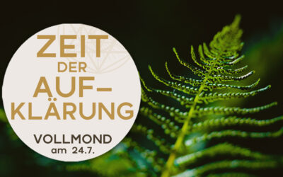 Video und geführte Meditation zur Zeitqualität