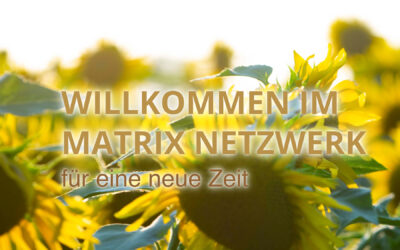 Matrix-Netzwerk