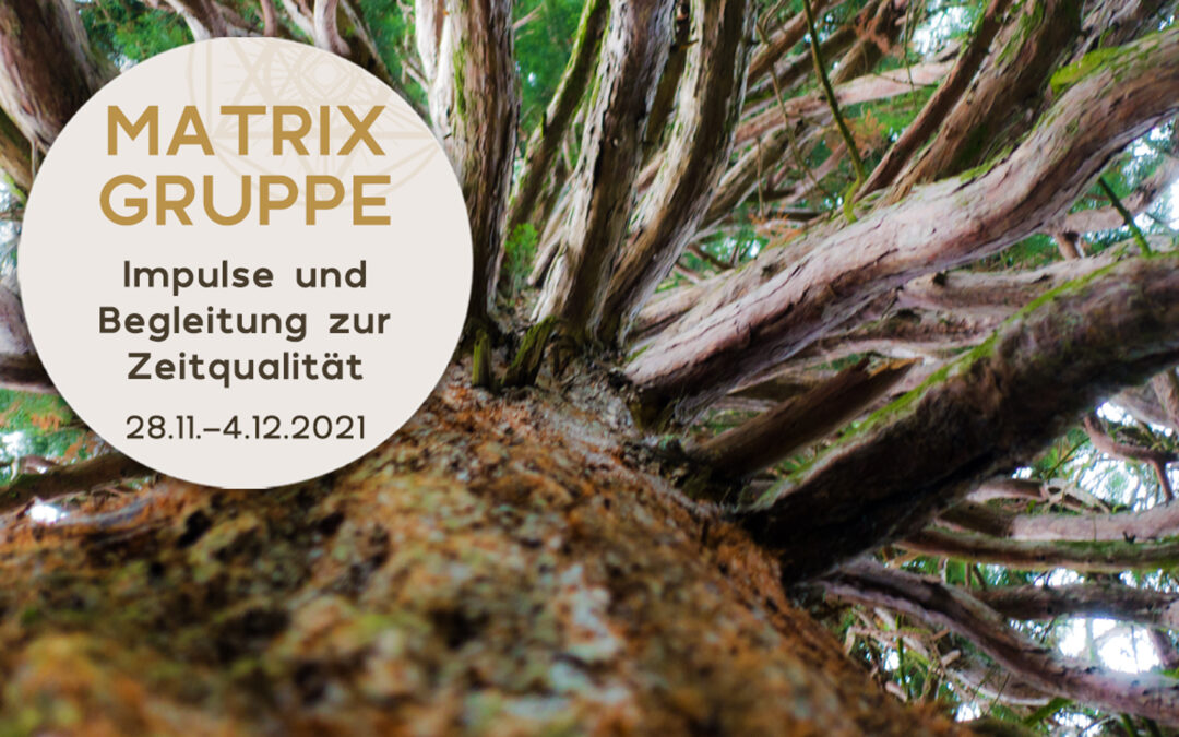 Impulse und Begleitung zur Zeitqualität vom 28.11.-04.12.2021