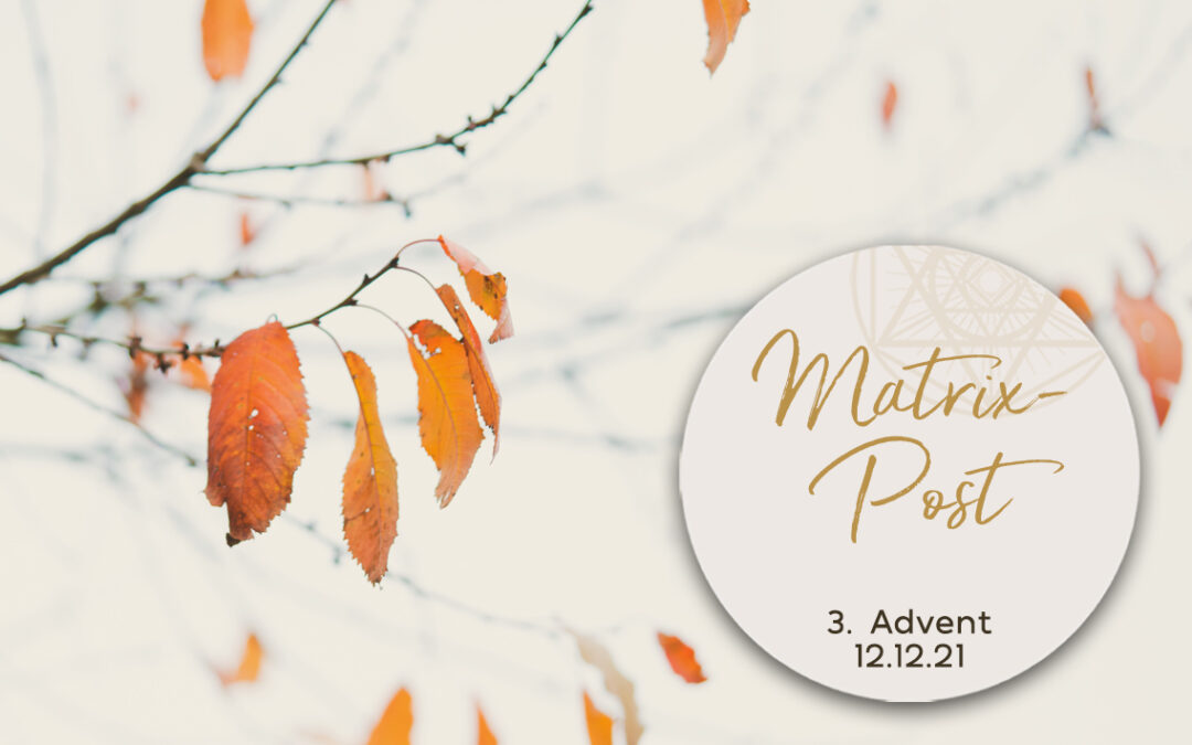 Matrix Post 12.12. – 3. Advent