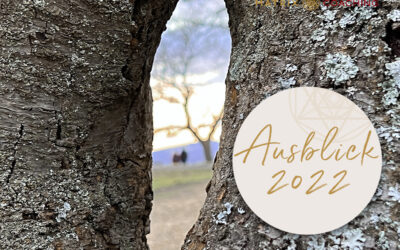 Ausblick 2022