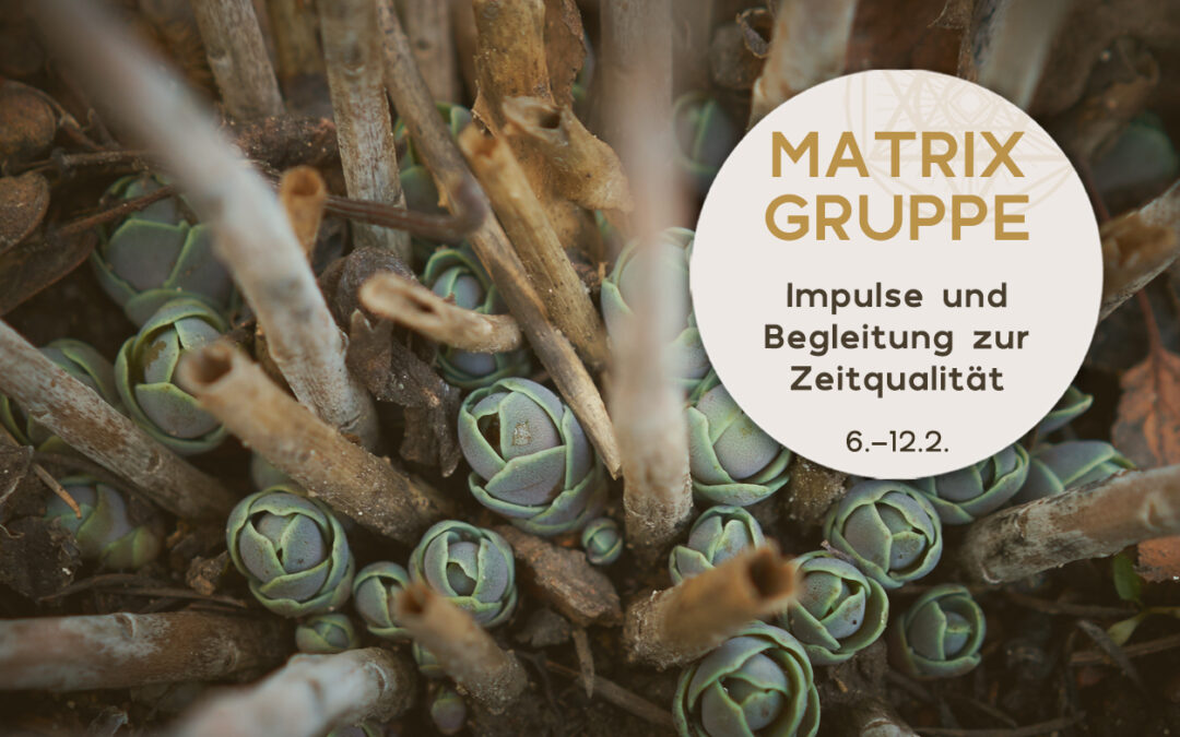 Impulse und Begleitung zur Zeitqualität vom 06.02.-12.02.2022