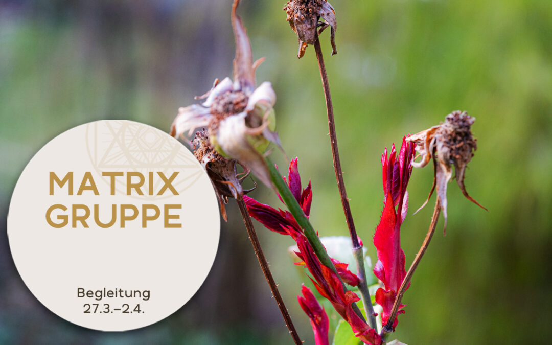 Impulse und Begleitung zur Zeitqualität vom 27.03.-02.04.2022