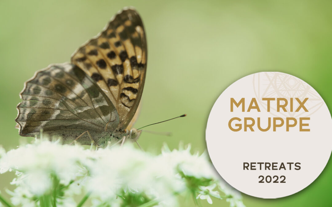 UPDATE  RETREATS 2022