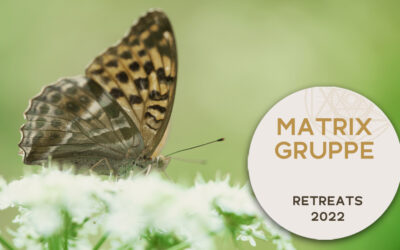UPDATE RETREATS 2022