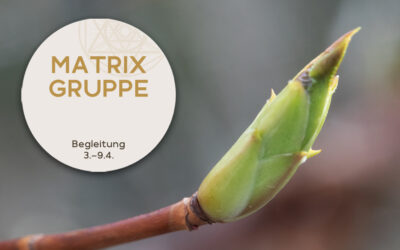 Impulse und Begleitung zur Zeitqualität vom 03.04.-09.04.2022