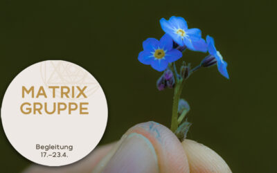 Impulse und Begleitung zur Zeitqualität vom 17.04.-23.04.2022