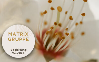 Impulse und Begleitung zur Zeitqualität vom 24.04.-30.04.2022
