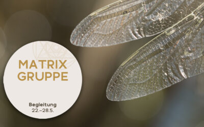 Impulse und Begleitung zur Zeitqualität vom 22.05.-28.05.2022