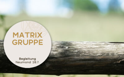 Impulse und Begleitung zum Neumond am 28.07.2022