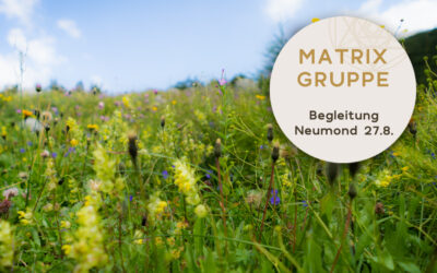 Impulse und Begleitung zum Neumond am 27.08.2022