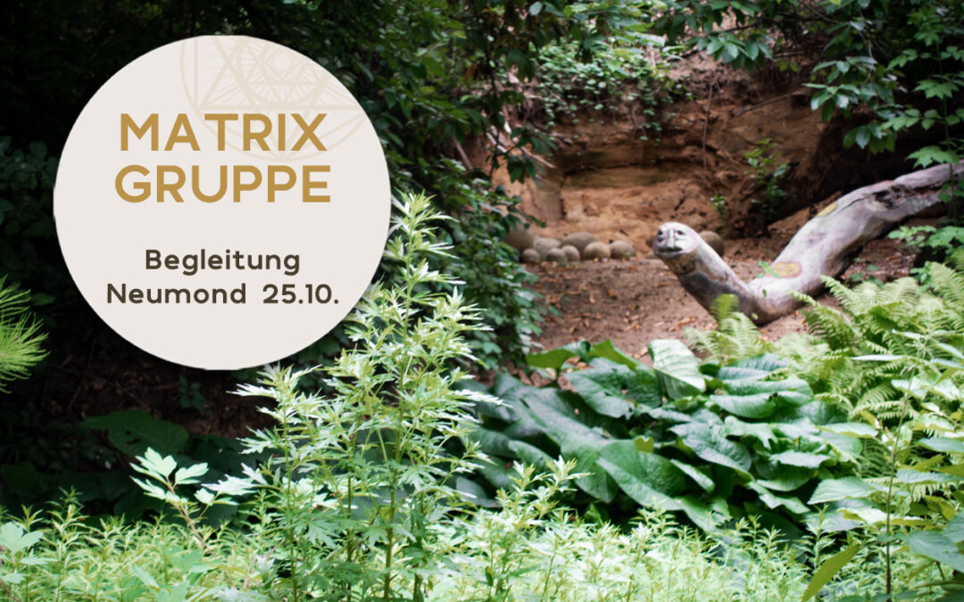 Impulse und Begleitung zum Neumond am 25.10.2022