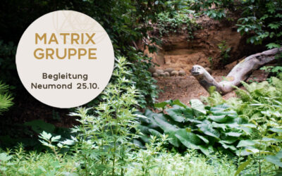 Impulse und Begleitung zum Neumond am 25.10.2022