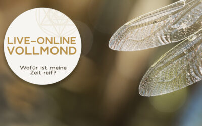Live-Online Abend am 3.7. um 18.30 Uhr