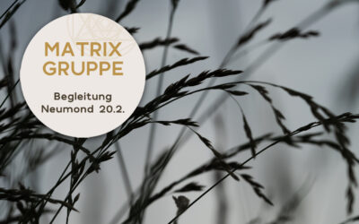 Impulse und Begleitung zum Neumond am 20.2.2023