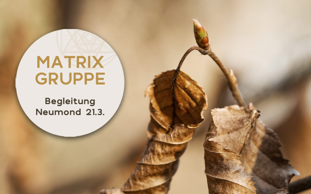 Impulse und Begleitung zum Neumond am 21.3.2023