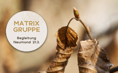 Impulse und Begleitung zum Neumond am 21.3.2023