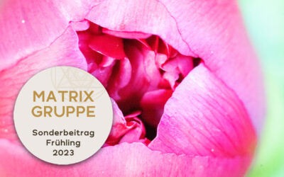 Sonderbeitrag Frühling 2023