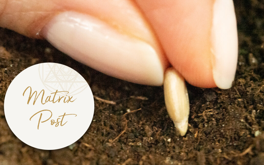 Entschiedenheit und Klarheit